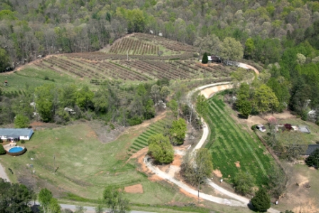 Aerial photo of The Happy Berry farm taken during early spring/dogwood season